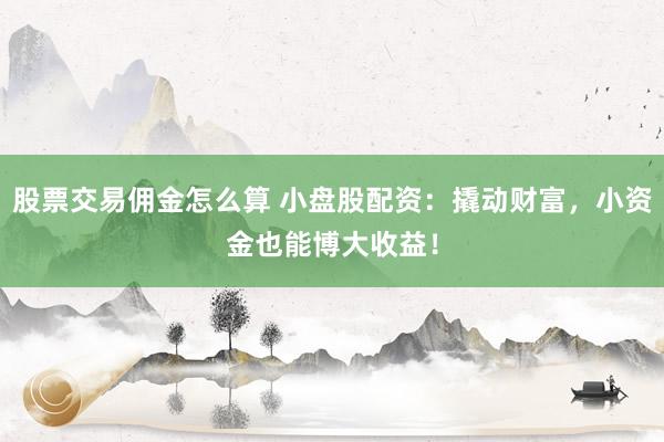 股票交易佣金怎么算 小盘股配资：撬动财富，小资金也能博大收益！