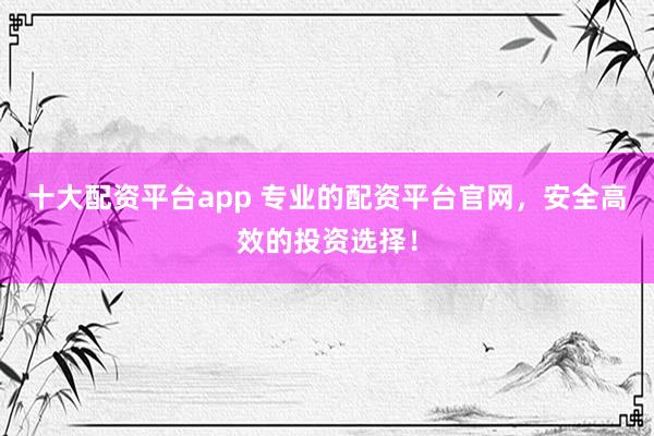 十大配资平台app 专业的配资平台官网，安全高效的投资选择！