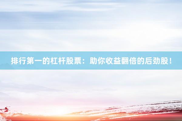 排行第一的杠杆股票：助你收益翻倍的后劲股！