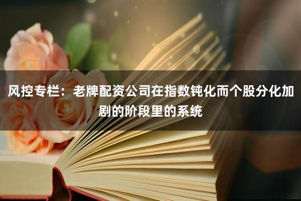 风控专栏：老牌配资公司在指数钝化而个股分化加剧的阶段里的系统