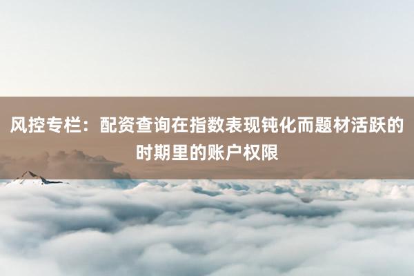 风控专栏：配资查询在指数表现钝化而题材活跃的时期里的账户权限
