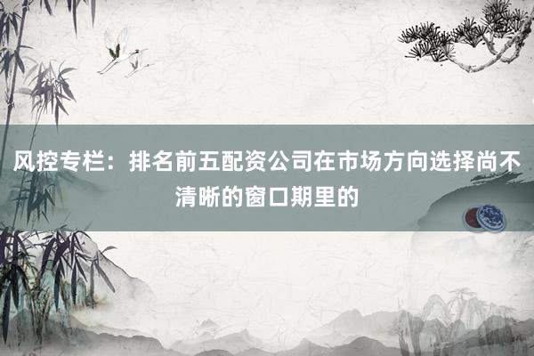 风控专栏：排名前五配资公司在市场方向选择尚不清晰的窗口期里的