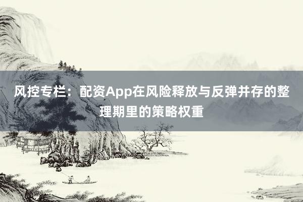 风控专栏：配资App在风险释放与反弹并存的整理期里的策略权重
