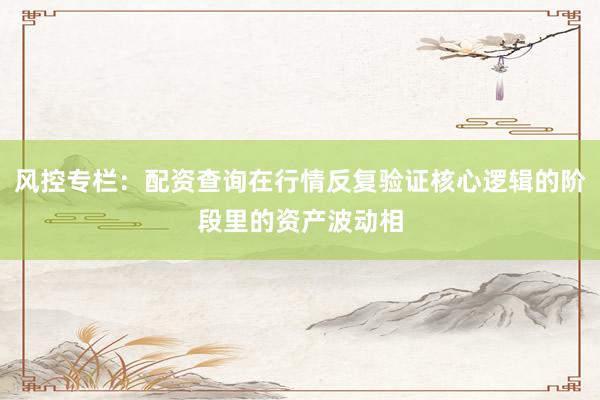 风控专栏：配资查询在行情反复验证核心逻辑的阶段里的资产波动相