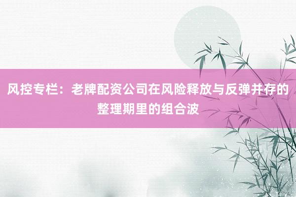风控专栏：老牌配资公司在风险释放与反弹并存的整理期里的组合波