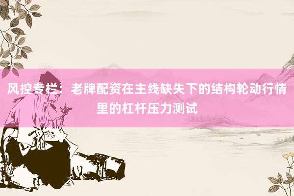 风控专栏：老牌配资在主线缺失下的结构轮动行情里的杠杆压力测试