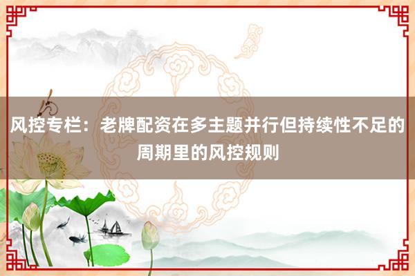 风控专栏：老牌配资在多主题并行但持续性不足的周期里的风控规则