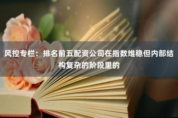 风控专栏：排名前五配资公司在指数维稳但内部结构复杂的阶段里的