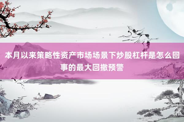 本月以来策略性资产市场场景下炒股杠杆是怎么回事的最大回撤预警
