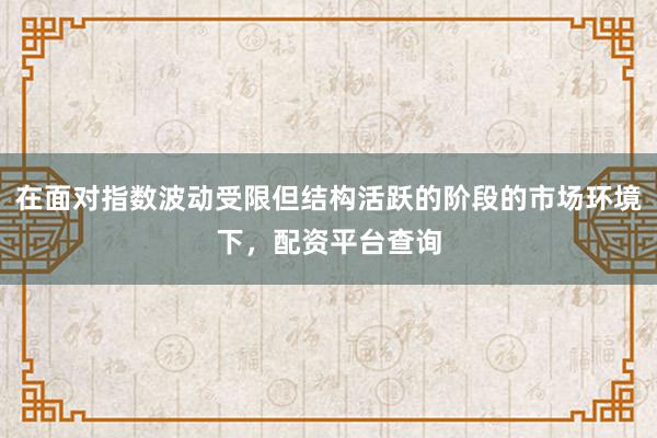 在面对指数波动受限但结构活跃的阶段的市场环境下，配资平台查询