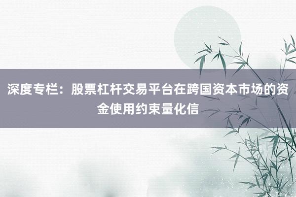 深度专栏：股票杠杆交易平台在跨国资本市场的资金使用约束量化信