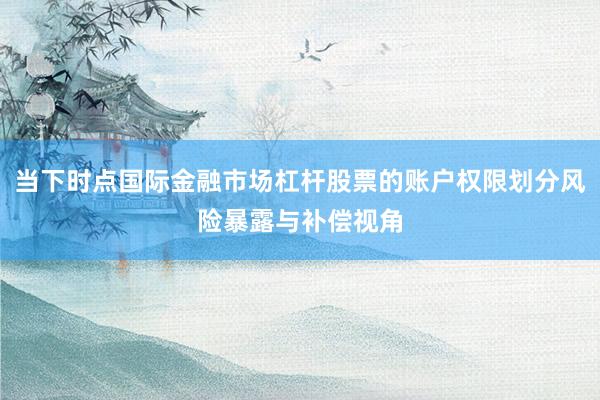 当下时点国际金融市场杠杆股票的账户权限划分风险暴露与补偿视角