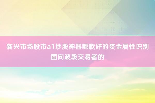 新兴市场股市a1炒股神器哪款好的资金属性识别面向波段交易者的