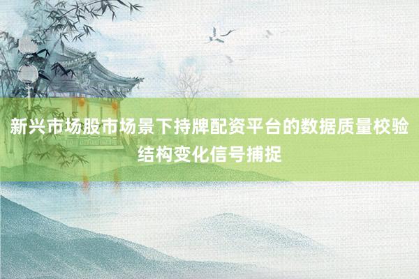 新兴市场股市场景下持牌配资平台的数据质量校验结构变化信号捕捉
