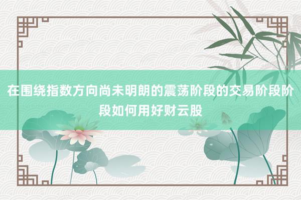 在围绕指数方向尚未明朗的震荡阶段的交易阶段阶段如何用好财云股