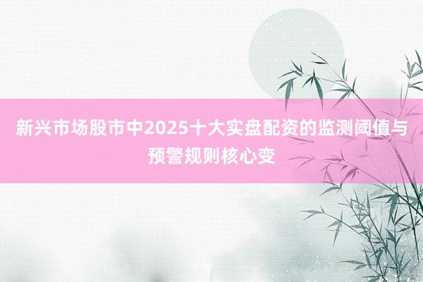 新兴市场股市中2025十大实盘配资的监测阈值与预警规则核心变