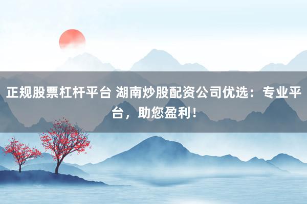 正规股票杠杆平台 湖南炒股配资公司优选：专业平台，助您盈利！