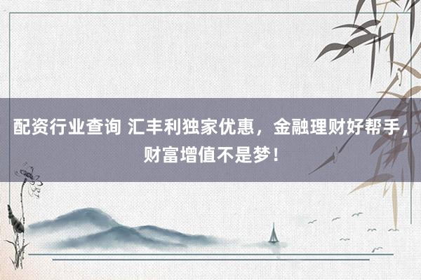 配资行业查询 汇丰利独家优惠，金融理财好帮手，财富增值不是梦！