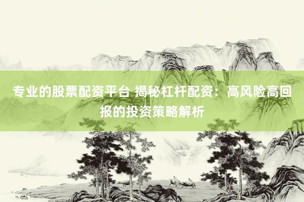 专业的股票配资平台 揭秘杠杆配资：高风险高回报的投资策略解析