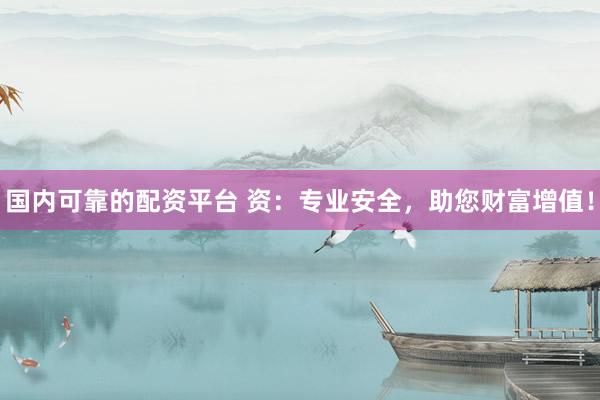 国内可靠的配资平台 资：专业安全，助您财富增值！